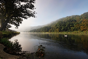 070923 MEUSE 14822 02P.jpg